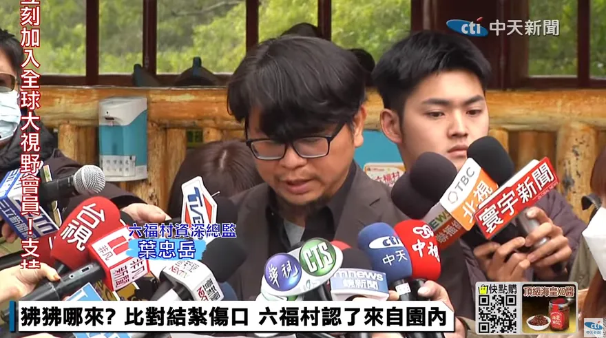 影/六福村資深總監90度鞠躬道歉　 親口承認狒狒來自園區曝光「關鍵傷口」