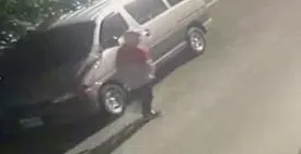 影/疑有專業黑幫參與！內湖「熊貓殺手」犯案後「這舉動」讓警追查不易