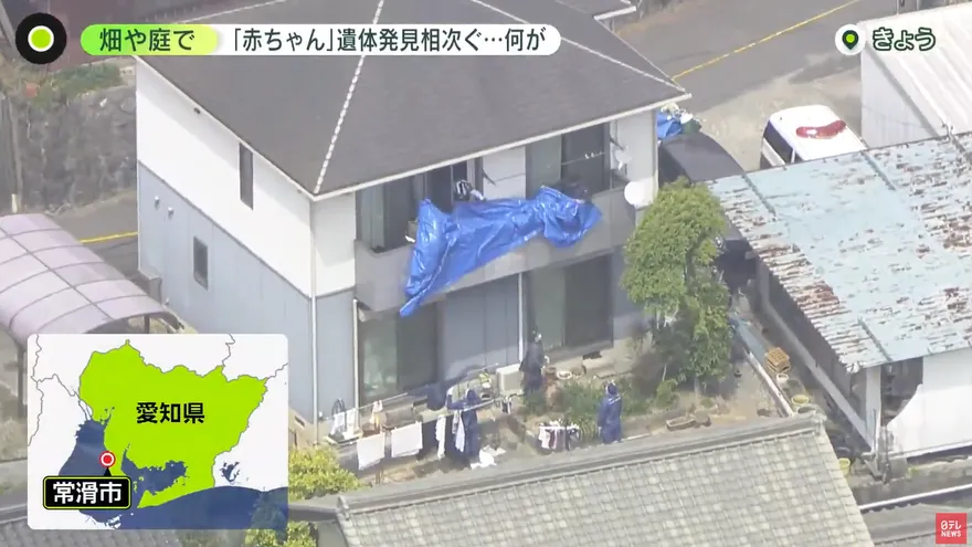 庭院除草挖到嬰兒遺體...日本一天發生兩起遺棄嬰屍案　引發熱議