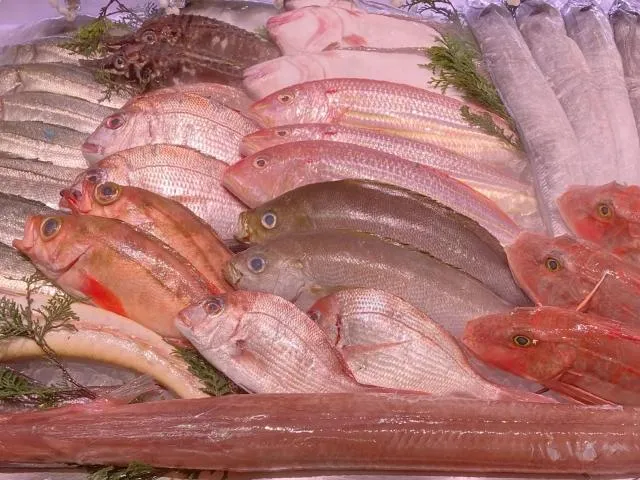 不同需求吃不同魚！營養師揭魚類營養含量　「秋刀魚 」魚油含量高居第一