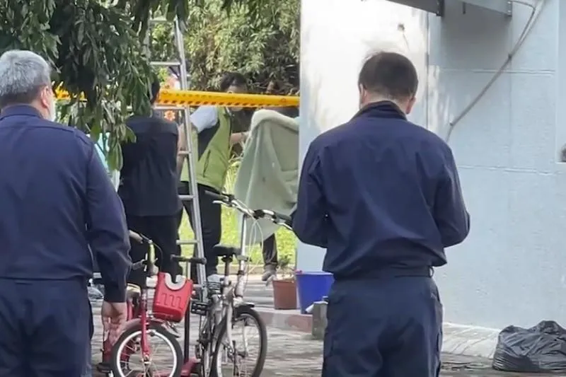 嘉義3死人倫慘案！解剖出爐　長子左頸一刀斃命、妻氣管切斷、男墜樓折頸