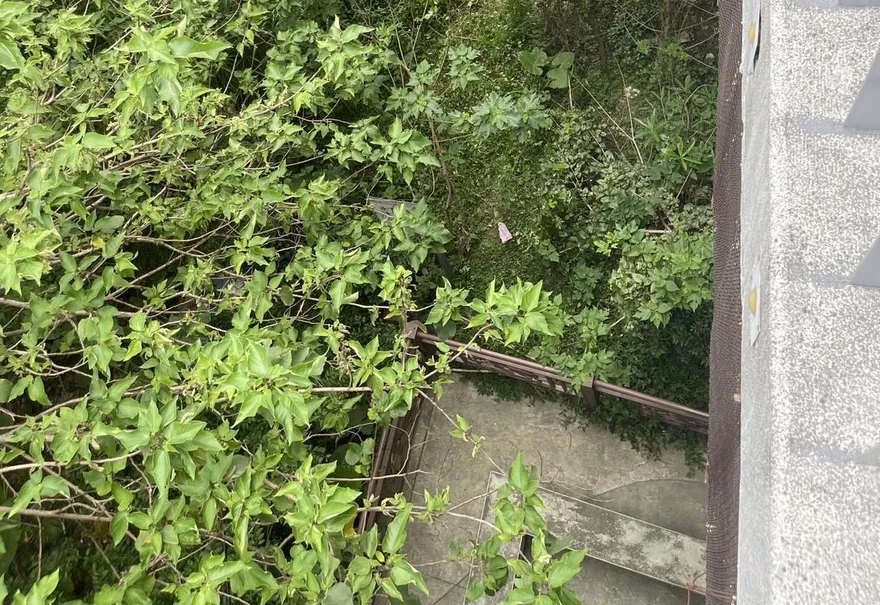萬華男子消失橋上　河濱公園草叢找到人、無呼吸心跳