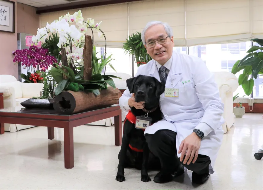 全台首隻「治療犬」駐點北榮！「歐巴」不僅暖心陪伴還會鞠躬送行