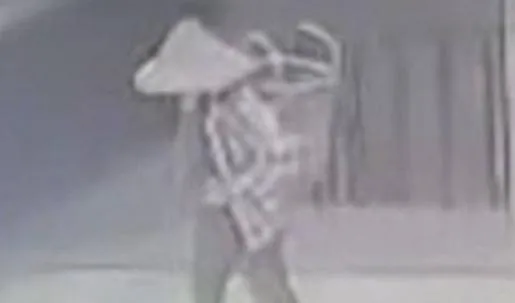 魔神仔作祟？採筍嬤上山失蹤　3天3夜後奇蹟返家自爆「怎麼走都走不出去」