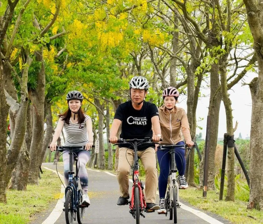朴子溪自行車道迎接金黃阿勃勒盛開　古早味在地美食呼你吃到笑微微
