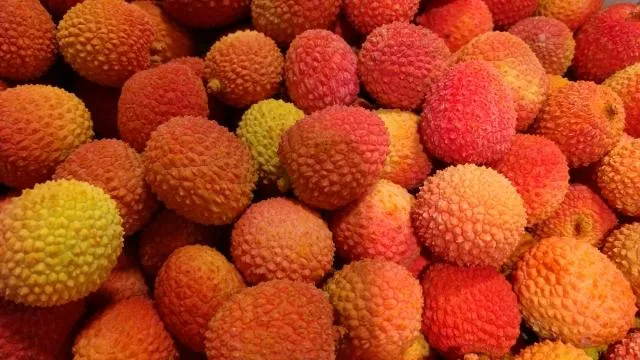 荔枝吃太多當心上火！　農業部：成人一天食用不宜超10顆