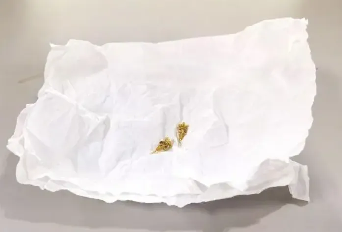 武漢地鐵工作人員拾獲一坨衛生紙　打開驚見一對「黃金耳釘」