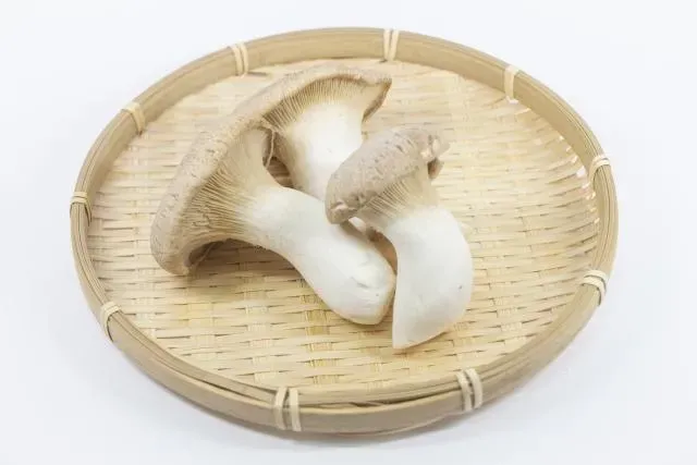 颱風天菜價飆高！換吃杏鮑菇　飽足感還能控制體重