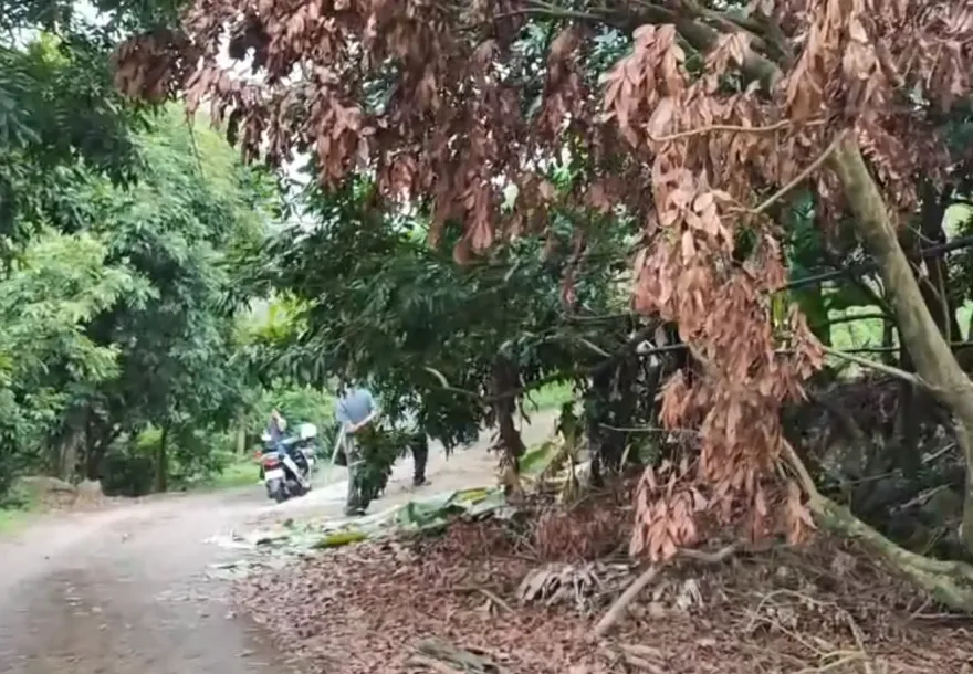 快訊/台南梅嶺爆驚人命案！比丘尼山裡修行陳屍產業道路　全身多處撕裂傷