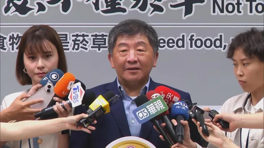 又是英系唱反調！賴清德有意徵召「雞排妹」　陳時中：我的一票給吳沛憶