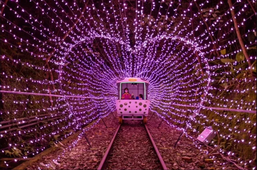 暑趣玩/仲夏新北賞花踏浪　東北角騎自行車度浪漫七夕