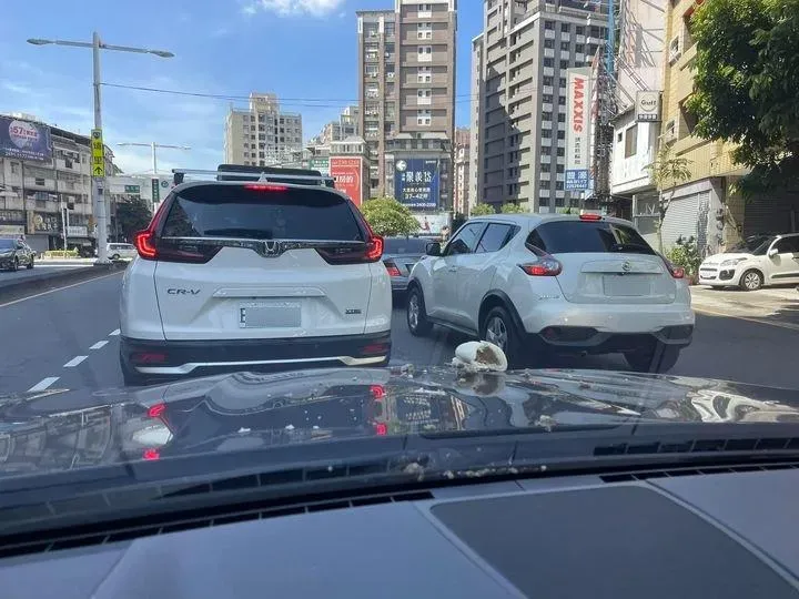 天降「肉包」於斯人也？妹子油門加速甩　下秒...從引擎蓋噴到擋風玻璃