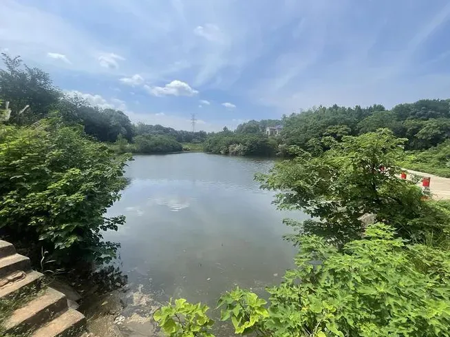 68歲翁捨命救人！水中托舉孩童10幾分鐘不幸溺斃　家屬淚崩：感恩一輩子
