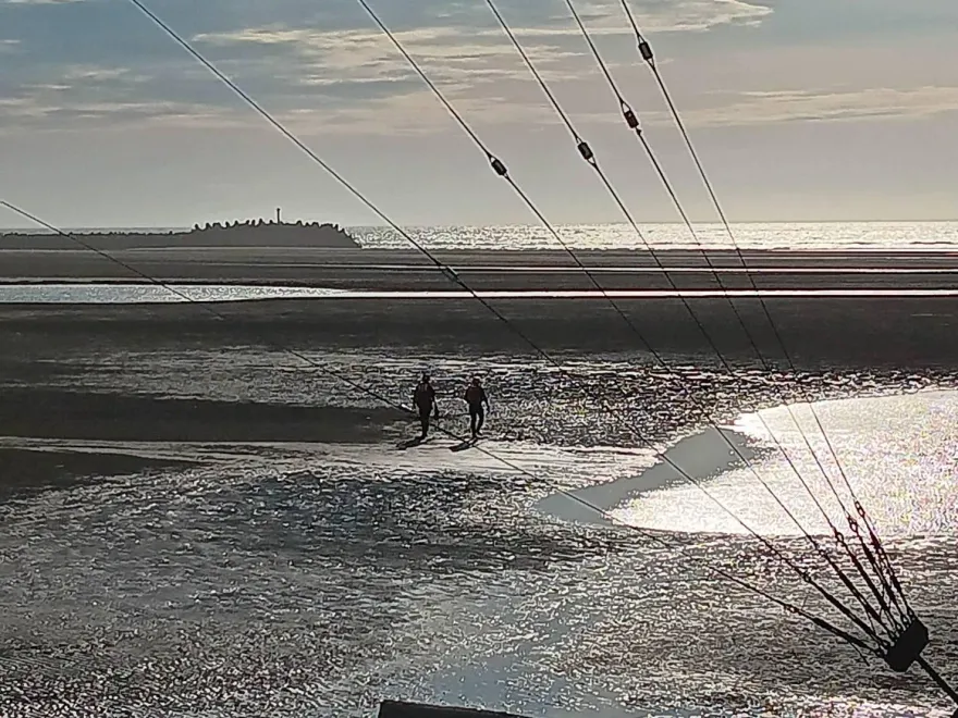影/快訊/台中高美濕地驚傳落海意外！3遊客生死未卜　救難人員擴大搜尋