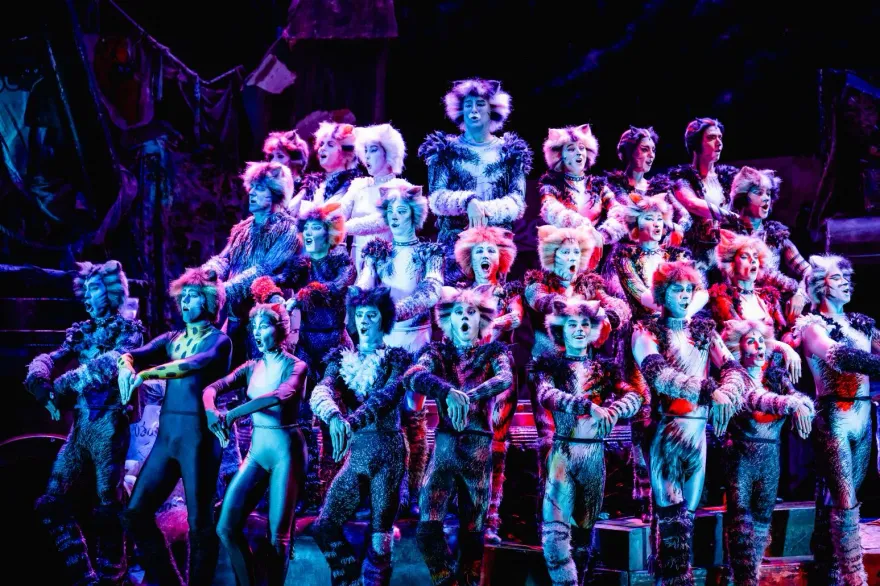 《貓》後台公開！揭密百套華麗戲服