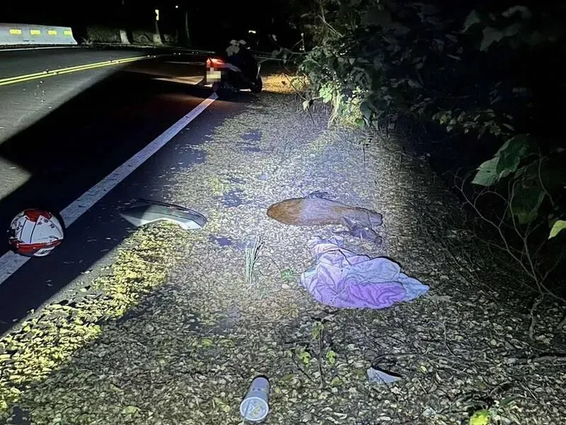 「鹿」殺！八卦山機車對撞水鹿噴飛　無照17歲騎士受傷被罰