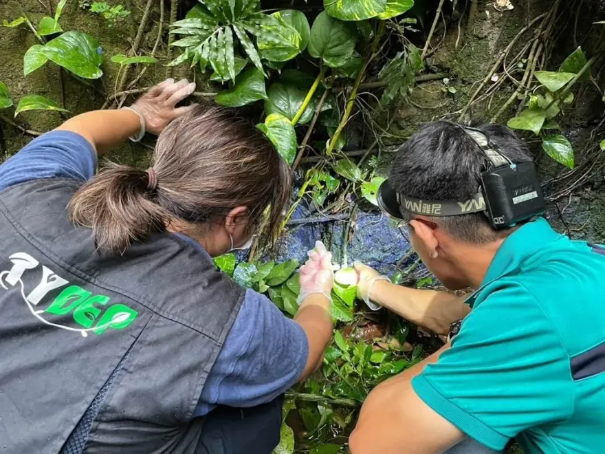 兇手找到了！桃園牛欄河「這原因」遭染白　男子恐挨罰又面臨市府求償