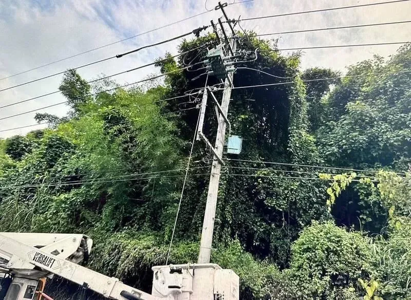 快訊/南投台電維修工遭高壓電擊、人掛電桿上　送醫搶救不治