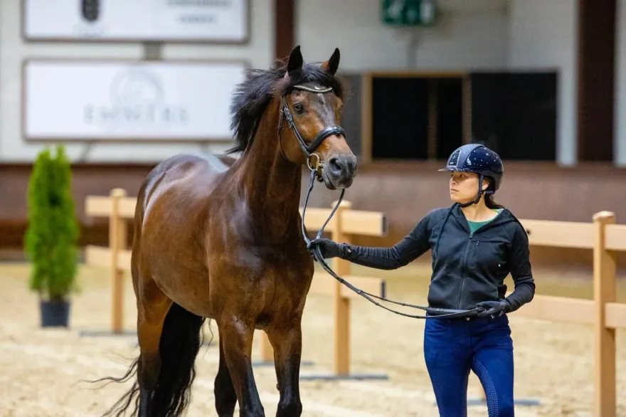 備戰亞運/馬選手求贊助！機票錢沒著落   體育署全額補助800萬運送