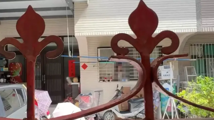 雞蛋爭議持續燒　歷史哥：若揪出這個「神秘人」民進黨明年甭選了