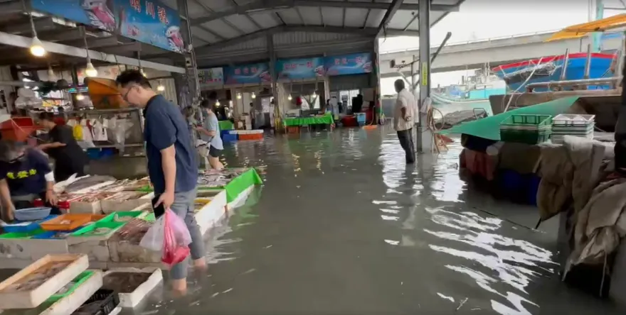 影/「水上市場」？海水倒灌淹魚市場　民眾涉水買魚驚：旁邊還有魚游過
