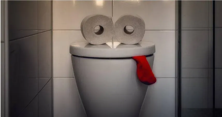 上廁所衛生紙要用幾張、應站著還是坐著擦？專家揭「正確擦屁股方式」