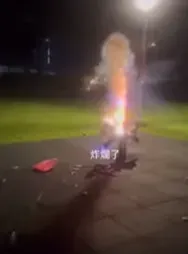 中秋惡搞！妹子公園點煙火「燒黑搖搖馬」喊：炸爛了　網轟教育失敗