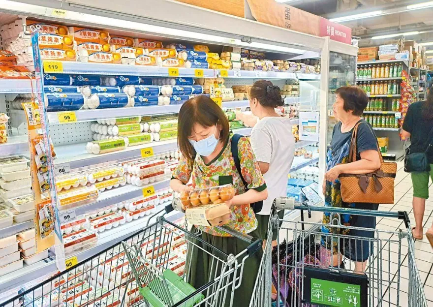 蛋價重回歷史高點！　洪孟楷轟蔡政府：浪費公帑7.7億元誰負責？