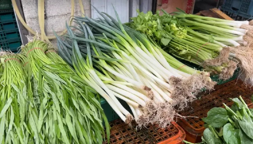 小犬颱風/菜價飆不停！三星蔥1天猛漲50元　婆媽嘆：什麼都貴