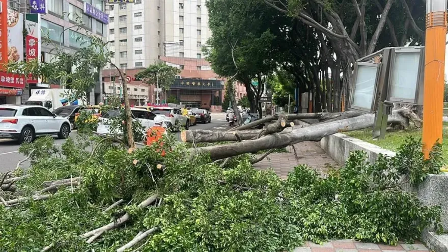 小犬颱風災損　掃這個QR Code可申請抵稅