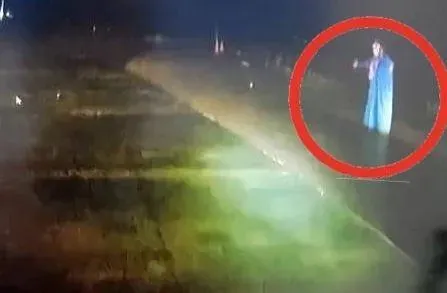 差點魂斷碧潭！夜半散步遇雨　66歲男想上「天鵝船躲避」踩空慘落水