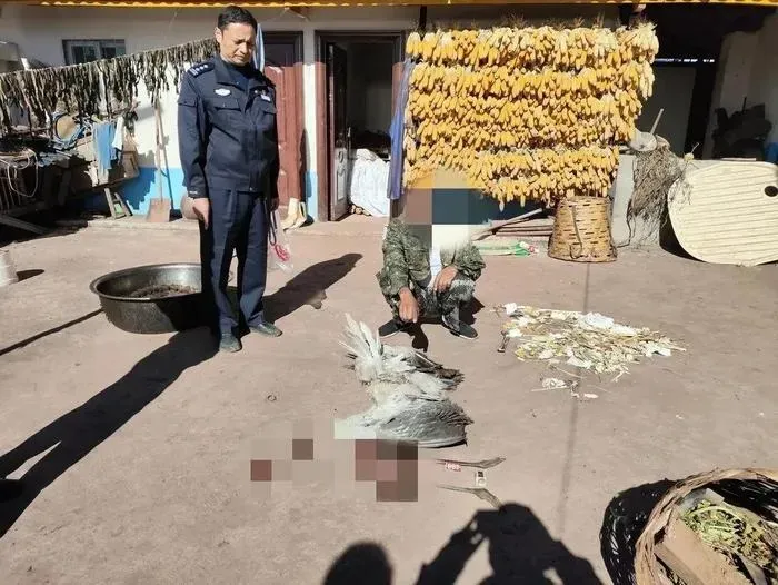 白目男狠殺「高原神鳥」黑頸鶴！還帶回家煮來吃　恐判刑10年