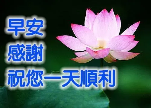 別小看長輩圖！專家曝「經常性社交清單」可降憂鬱症風險