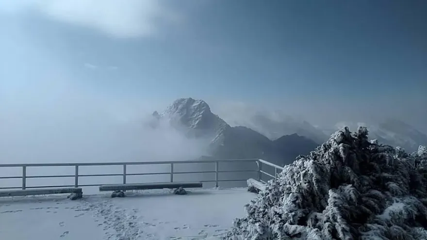 玉山初一「積雪8公分」！零下7.4度銀白世界迎新年