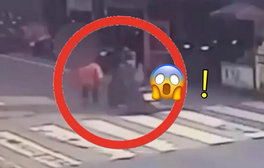 基隆驚見行人地獄！婦人走斑馬線慘遭機車撞翻　雙雙倒地