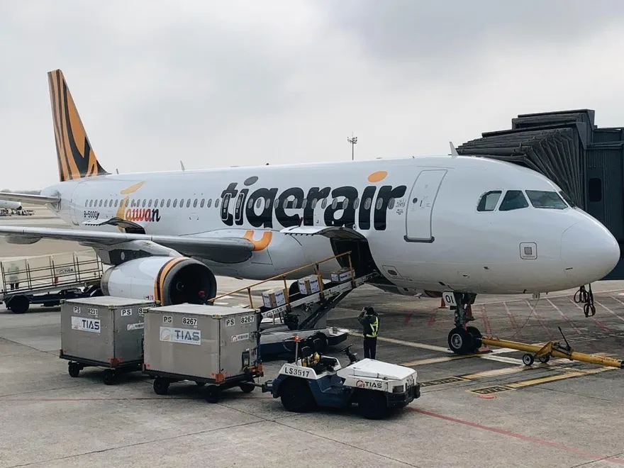 旅客突發不適！虎航飛函館急返桃機　同機乘客讚處理迅速