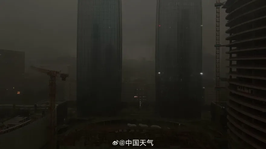 影/600km罕見颮線過境！廣州「白晝變黑夜」　動物園長頸鹿狂奔躲雨