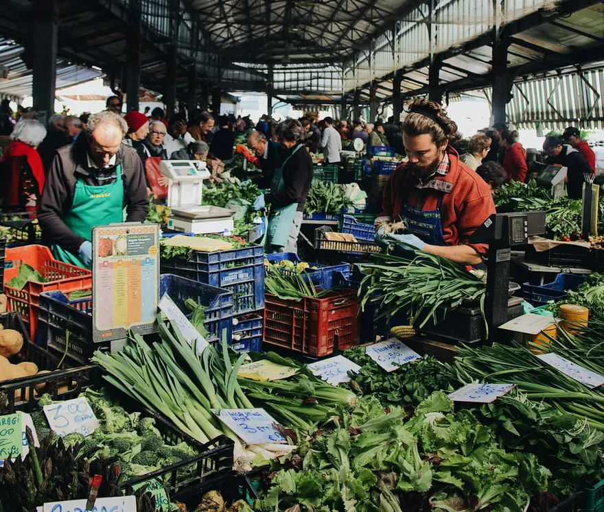 別亂買排毒產品！營養師：益生菌、青花椰苗效果更實在