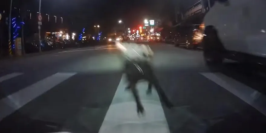 現實版惡靈古堡！黑狗突從車窗跳下　騎士急剎反應速度超神