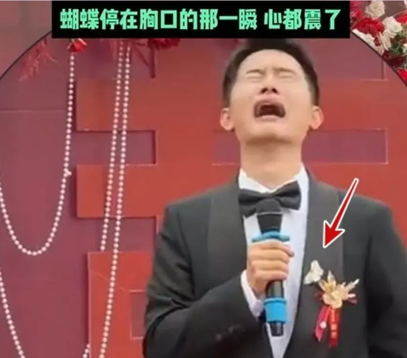 影/婚禮上蝴蝶突飛停胸口　新郎瞬間淚崩..痛哭原因藏洋蔥