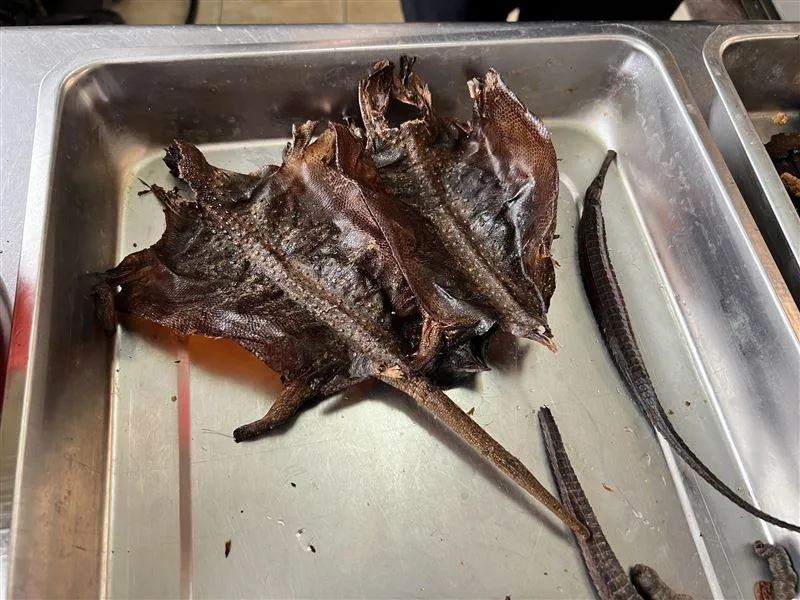 苗栗鄉代花8千買「中藥」泡鱉酒　10年後開箱冬蟲夏草燒出「塑膠味」