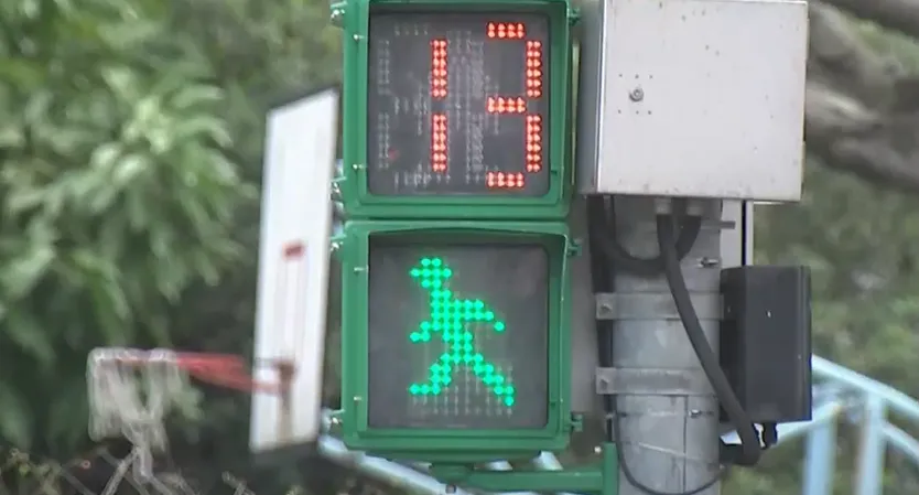 小綠人一閃其實「禁入斑馬線」　最快4月起不再開罰