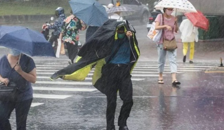 西半部週末防強風大雨！范斯高、竹節草、柯羅莎3颱動態一次看