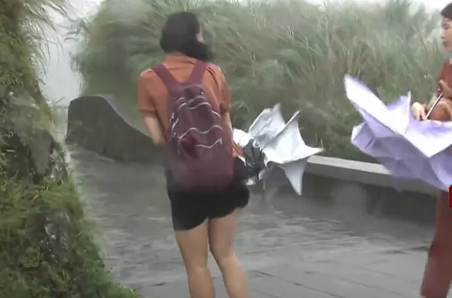 學生寄信苦求「放颱風假」　台東大學校長幽默回應了