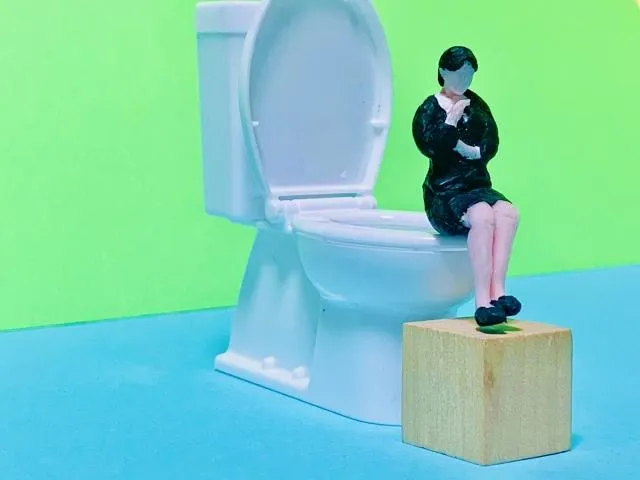 蹲姿排便更符合人體構造！重症醫：坐馬桶恐加重便秘