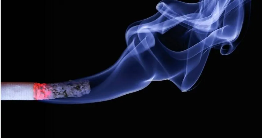 過年「抽一口」害全家吸毒氣！每3人就有1人暴露二手菸