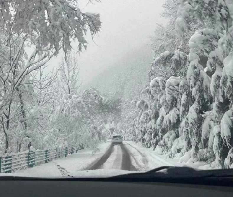 返鄉變逃難…陸男自駕返鄉遇大雪　塞24小時險崩潰