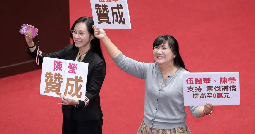 罷免陳瑩、伍麗華告吹　中選會：法定期限內未送件不受理
