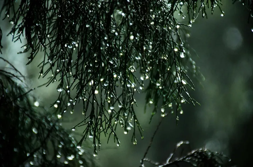 鋒面明襲！　中部以北雨勢較多要注意