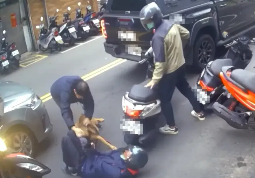 跟主人說掰掰！咬人比特犬二度傷人　北市動保處連續開罰並沒入犬隻